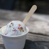 Hester Street Fair's Ice Cream Social Featured NYC's Best Scoop